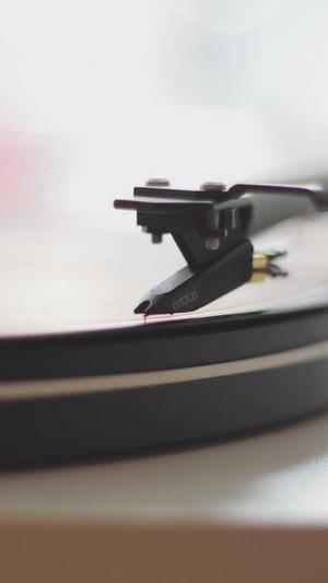 蜘蛛池免费手游推广截图2