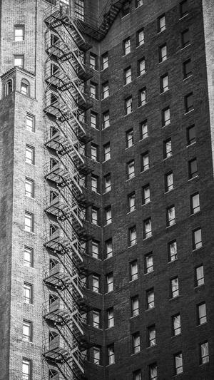 百度蜘蛛池搭建教程截图5