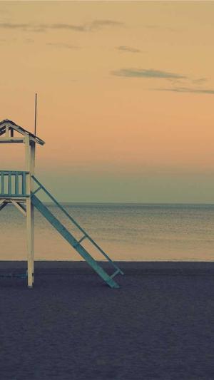 上海网站seo工具截图1