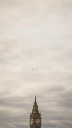 上海蜘蛛池出租服务截图4