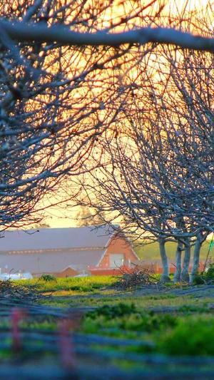 网站建设知名公司截图4