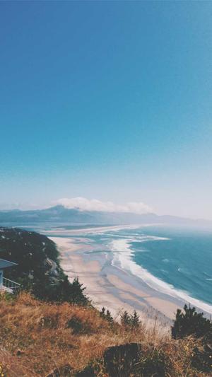 蜘蛛池博客截图1