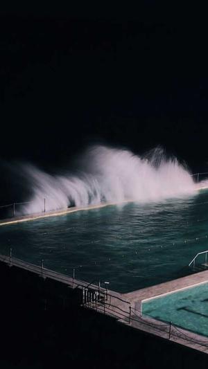 蜘蛛池日租200截图4