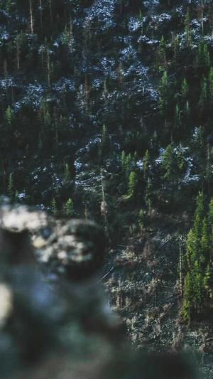 超级蜘蛛池怎样进去截图2