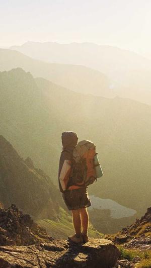 seo菜鸟论坛截图3