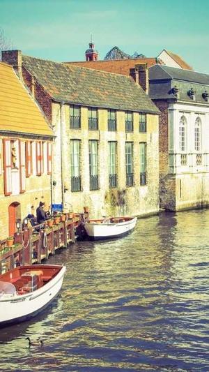 小旋风蜘蛛池模板图片截图2