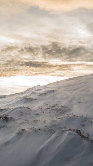 晴天蜘蛛池有用吗截图1