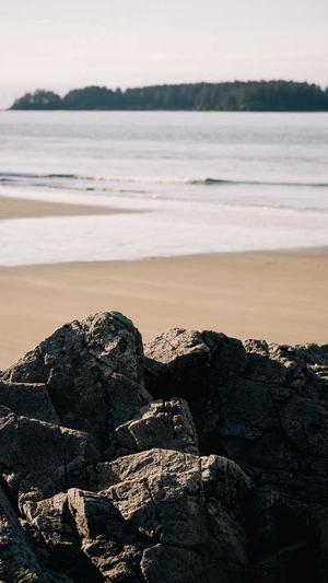 seo优化推广常用的工具截图1