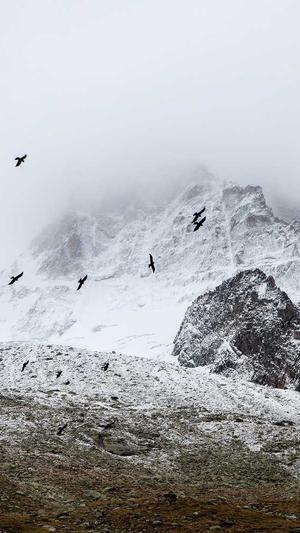 泛目录链接营销截图2