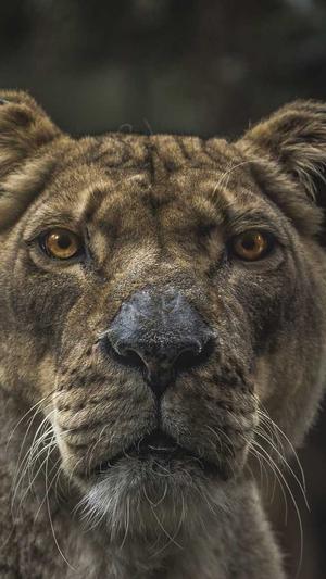 深圳seo优化截图2