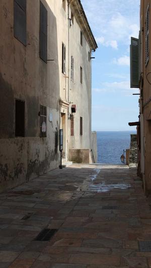 成都seo工具截图3