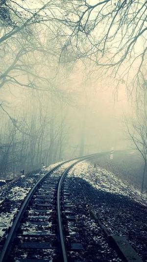 搜狗蜘蛛池服务竞价截图3