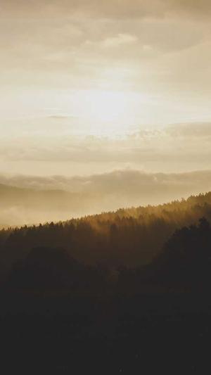 泛目录和二级目录截图1