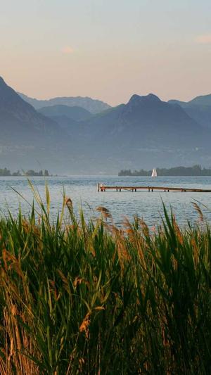 佛山旺道seo截图1