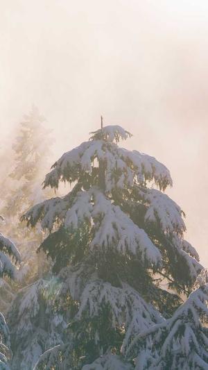 淄博网站建设截图1