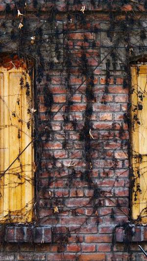 seo优化软件截图2