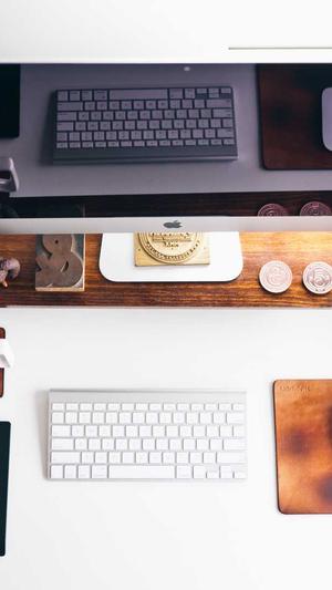 蜘蛛池怎么优化截图5