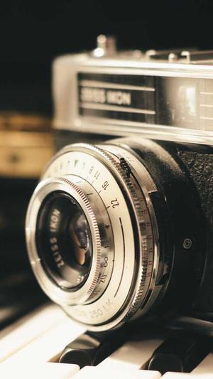 小霸王万能蜘蛛池截图3