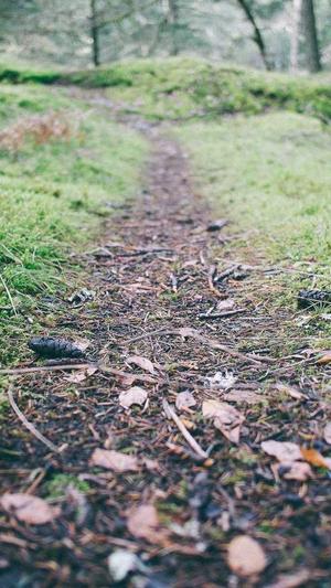 福建seo工具效果截图5