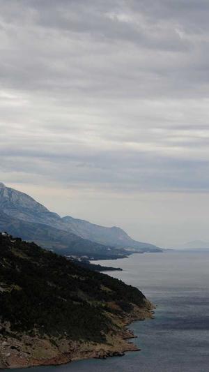 seo查询工具源码截图2