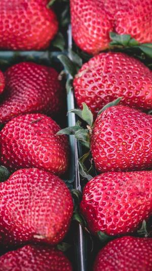 seo关键字工具截图1