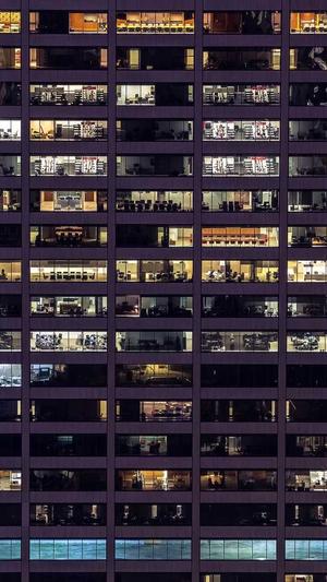 在线免费蜘蛛池截图3