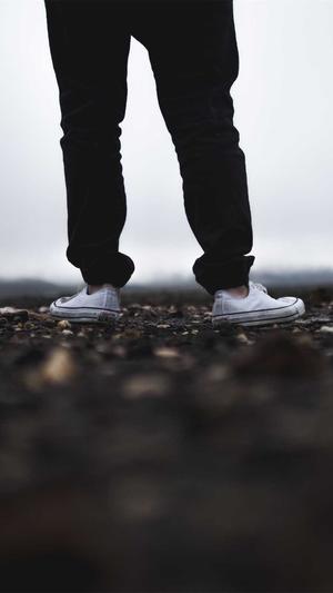 兰州快速seo工具截图1