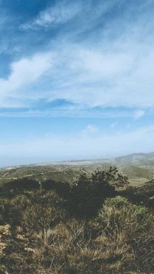 网站建设制作截图5