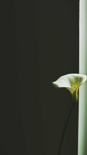 重庆整站seo截图1