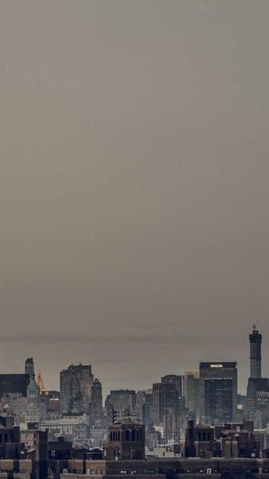 谷歌蜘蛛池教程下载截图5