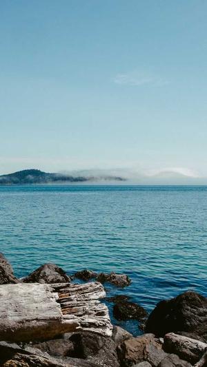 苏州seo关键词优化截图3